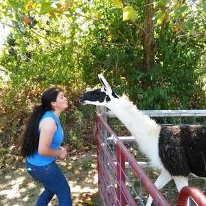 Meet your Posher, Ana